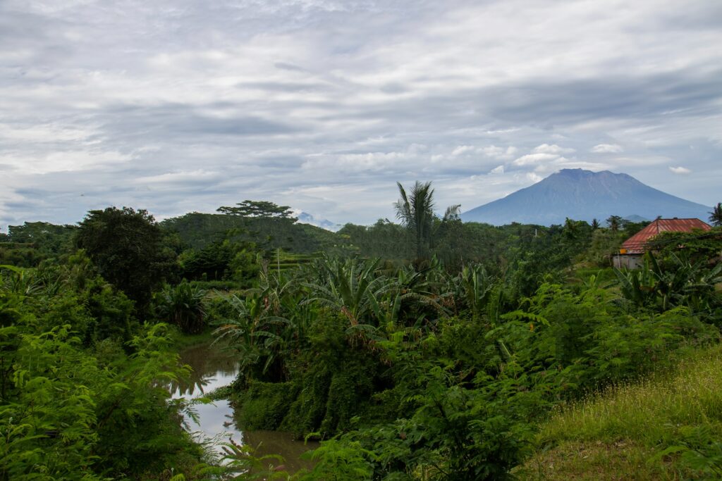 Индонезийский климат может смущать и путать путешественника, не привыкшего к тропическим реалиям. Зимы в привычном нам понимании здесь нет, зато есть сезон дождей. Рассказываем все, что нужно знать о погоде на Бали перед январским путешествием.
